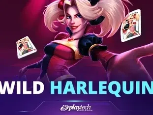 Wild Harlequin